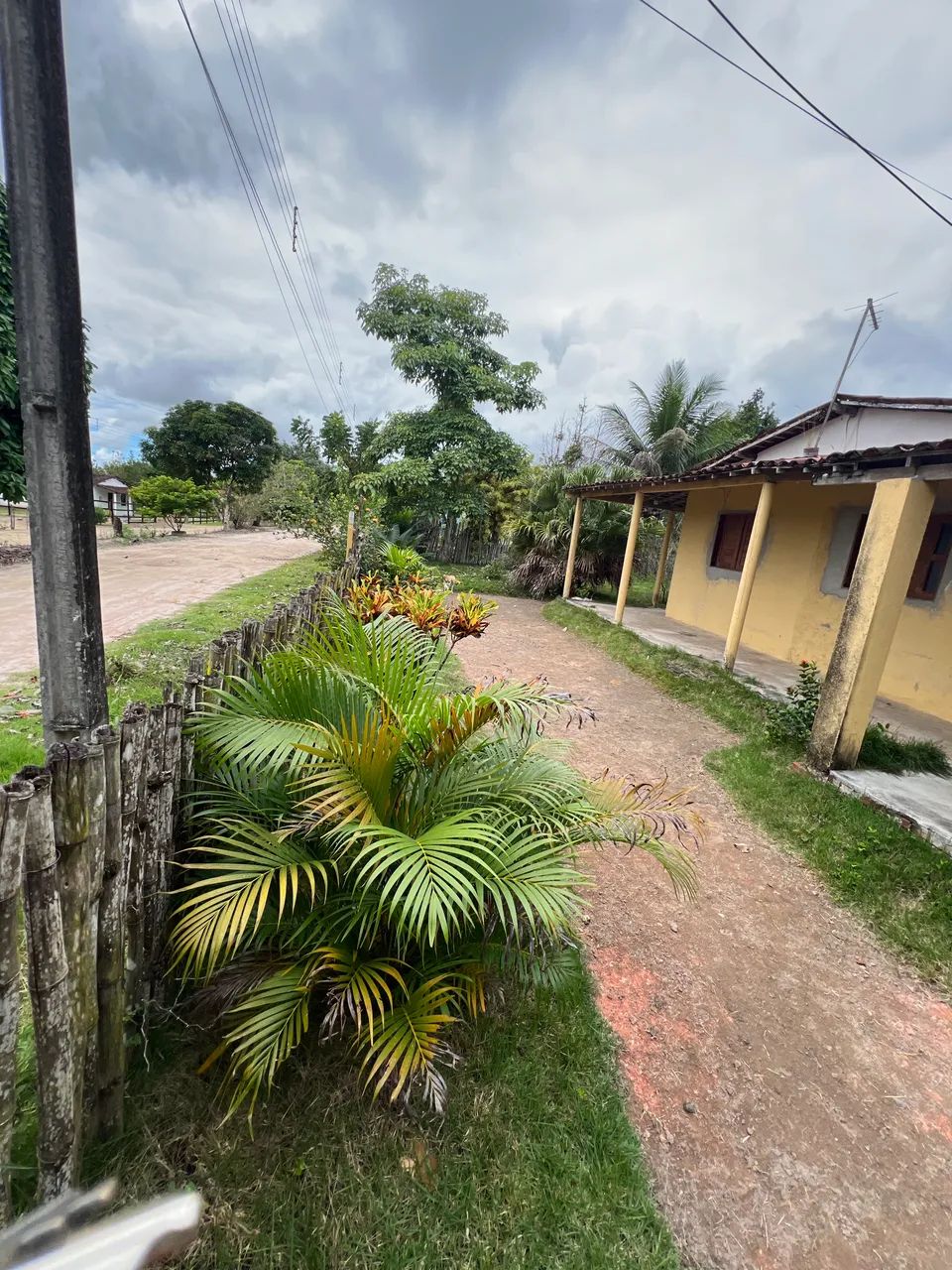 Vendo chácara em Flexeiras  - Foto 3