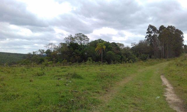 Sorocaba Região 30 Alqueires - Foto 7
