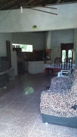 200 mil pra fechar o negocio Linda chácara no papuquara com uma casa com 3/4 ,sala,cozinha - Foto 18