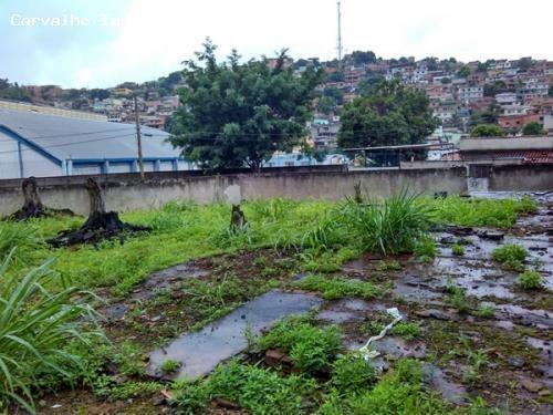Terreno no Santo Agostinho - Foto 2