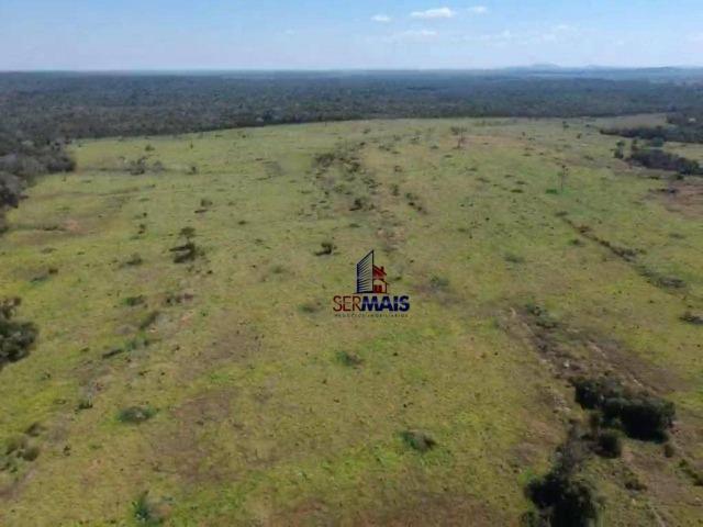 Fazenda na beira da BR 364 próximo à Cacoal