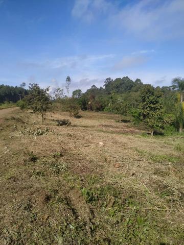 Chacrinha de 1.000m2