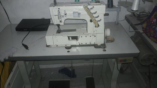 Verdendo - Foto 2