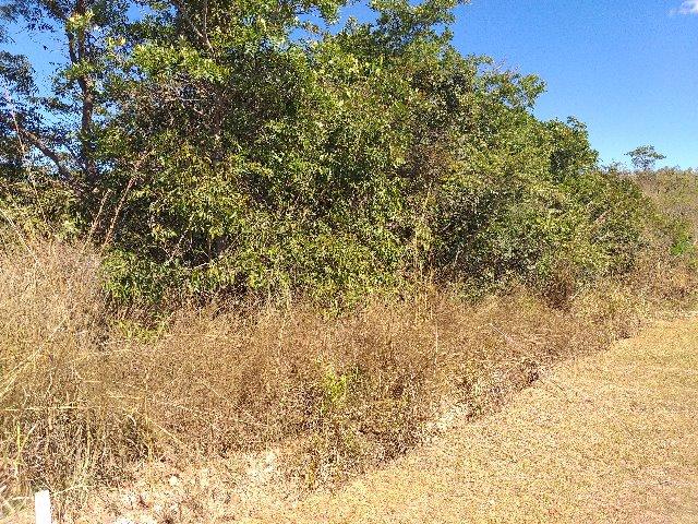 Wilson Vende | Lote Quitado | Condomínio Quatro Estações - Foto 5