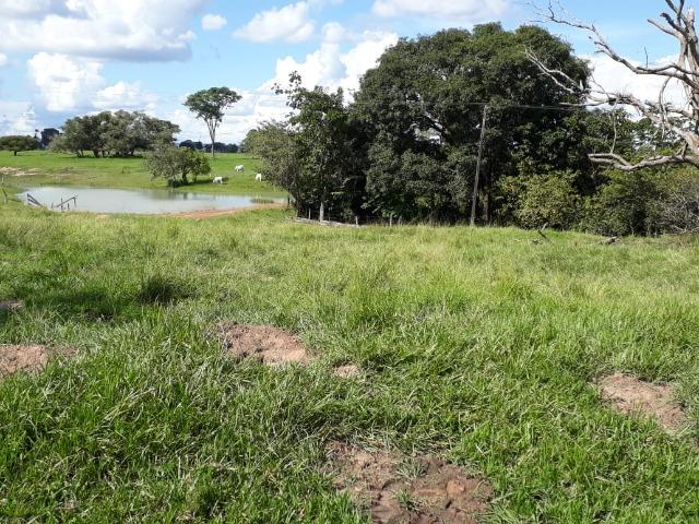 Fazenda Terra de cultura Há 10 km de Arenapolis Mato Grasso - Foto 20