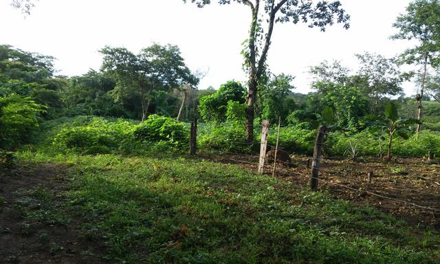 Vendo Lotes Rural 20x40 (800 mtrs2) - Foto 8