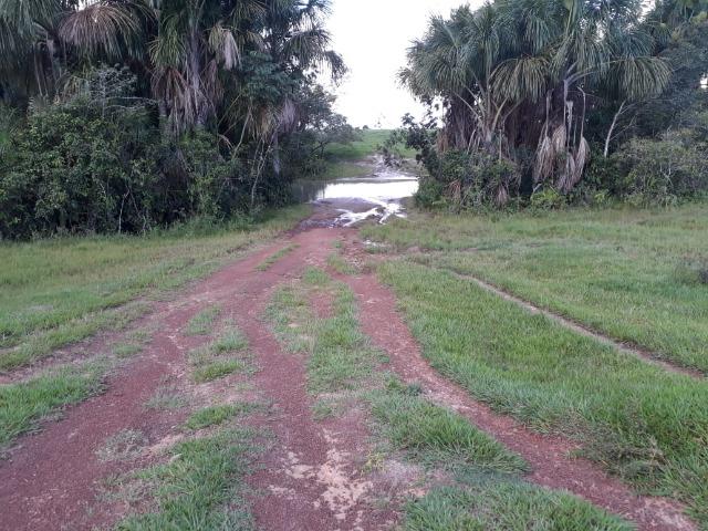 Fazenda Terra de cultura Há 10 km de Arenapolis Mato Grasso - Foto 7