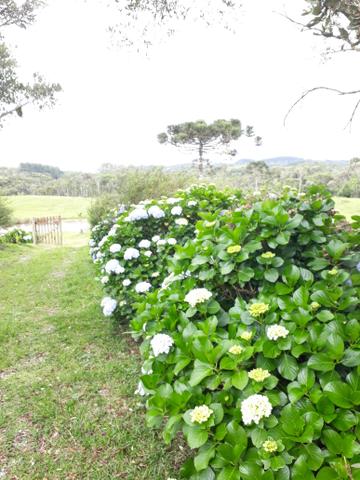 Vendo sitio - Foto 6