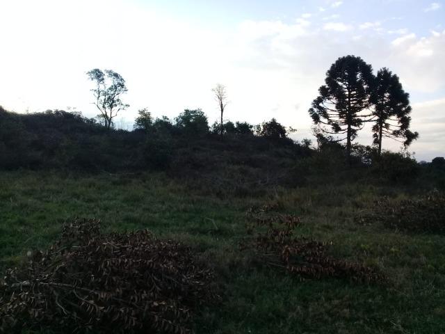 Chácara no Campestre com linda vista para a serra do mar - Foto 3