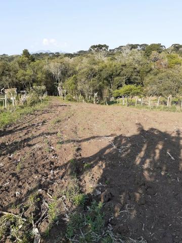 Torro Chacrinha em Quatro Barras, 2.040 m2