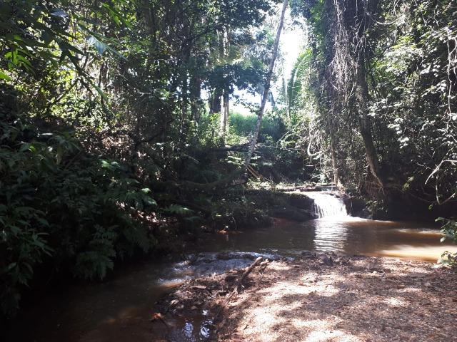 Vendo linda Chácara Verdadeiro Paraíso 19 mil metros - Foto 2