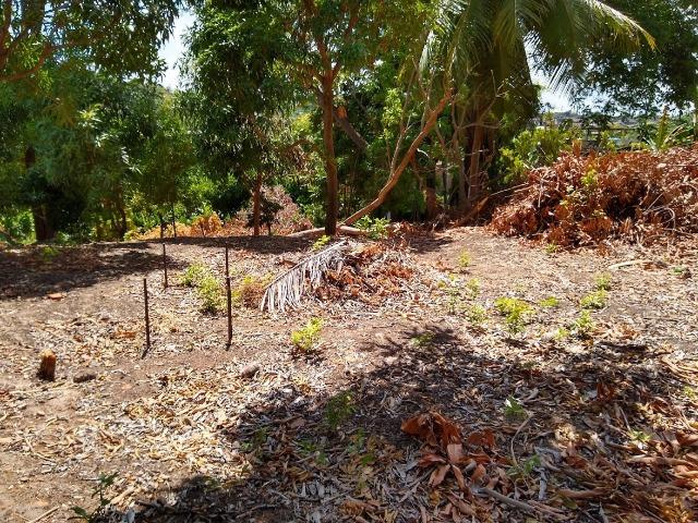 Lotes/Terrenos - Fragoso- Olinda - Foto 11
