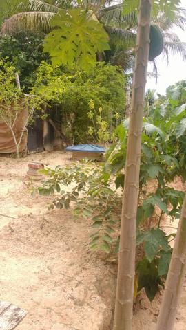 Casa - Foto 3