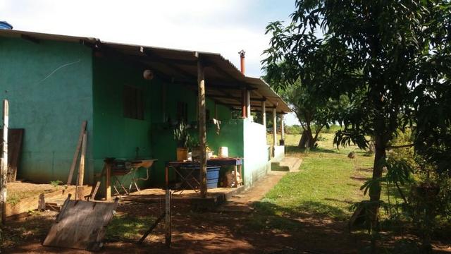Chácara casa de campo, lazer e pescaria. 5.000m2, beira do rio Turvo (Turvania) - Foto 5