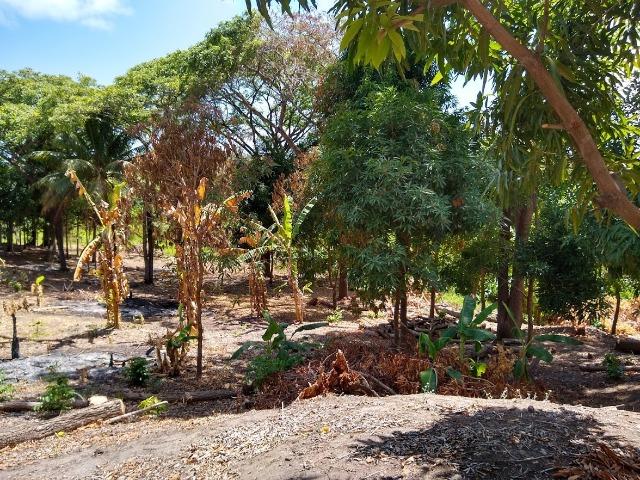 Lotes/Terrenos - Fragoso- Olinda - Foto 14