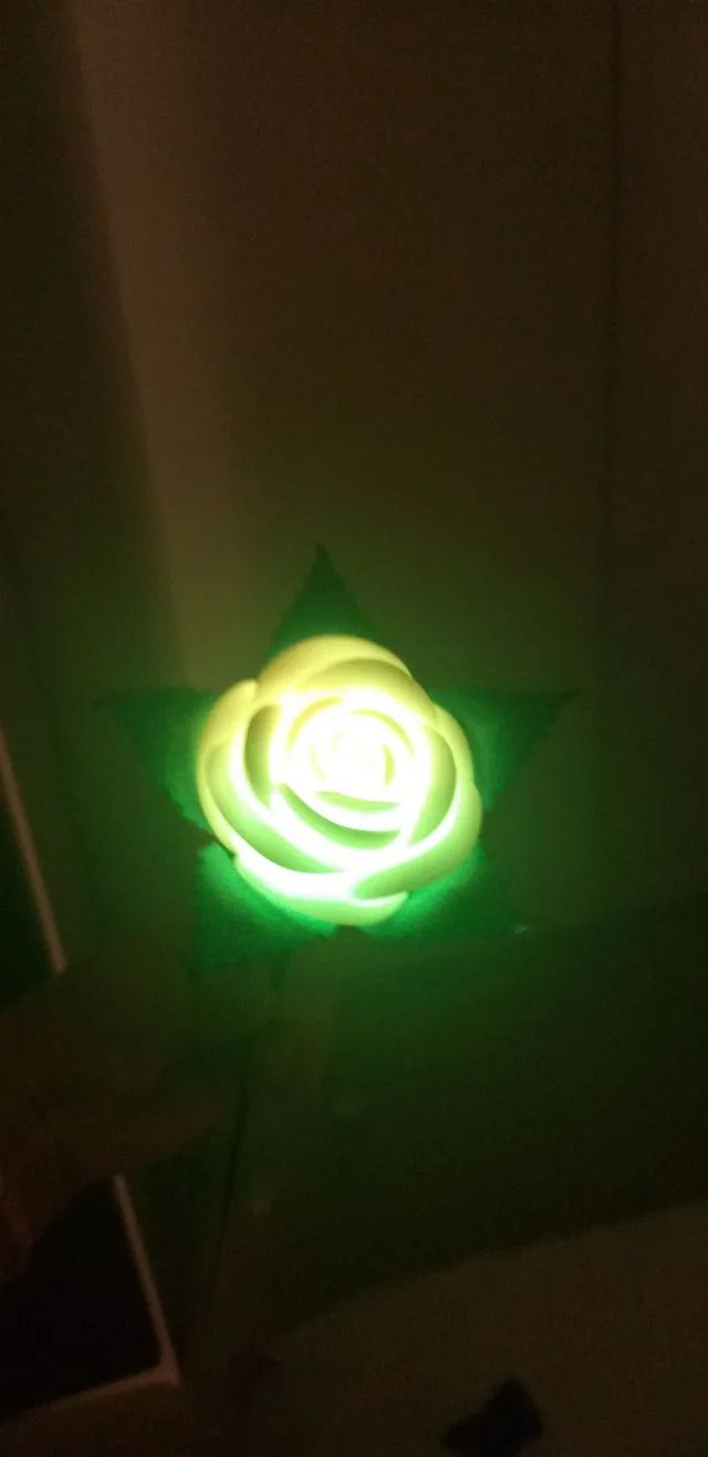 Decoração Rosa luminosa diversos tons - Foto 4