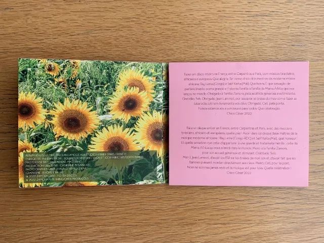Chico César - Vestido de Amor (álbum importado) - Foto 2