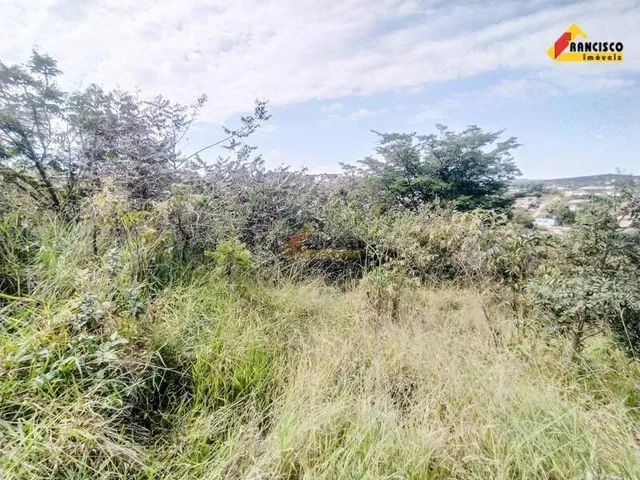 Lote à venda, Jardinópolis - Divinópolis/MG - Foto 5