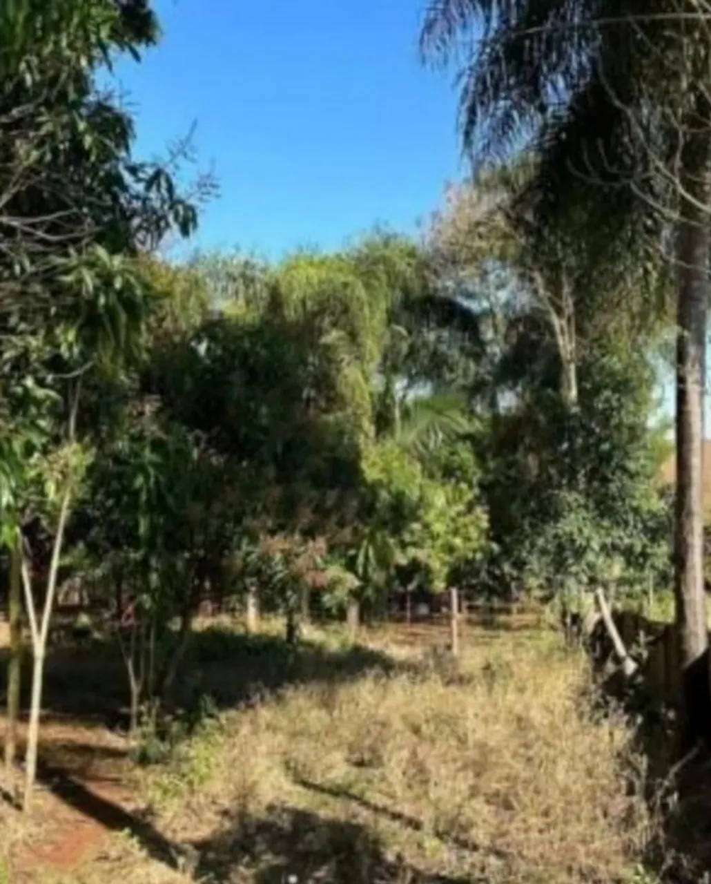 Chácara em Paiçandu 