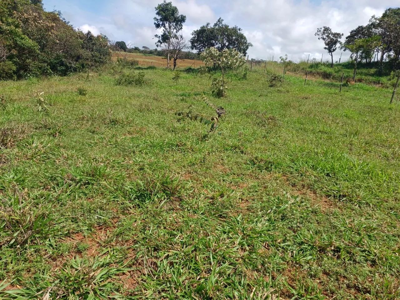 Chácara em gameleira de goias 10.000 metros
