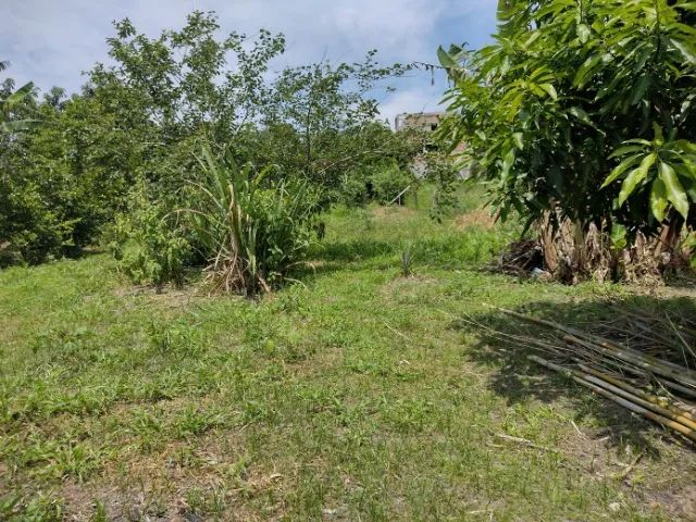 Chácara à venda em Igaratá, 2.000M² - Foto 11