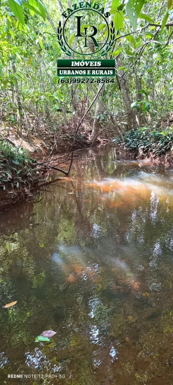 Chácara 5 alqueires com casa  Beira Rio Balsas - Foto 3