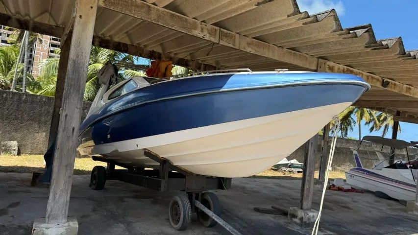 LANCHA ECOMARINER 25 PÉS (MOTOR OPTIMAX 250) REVISADA  - Foto 3