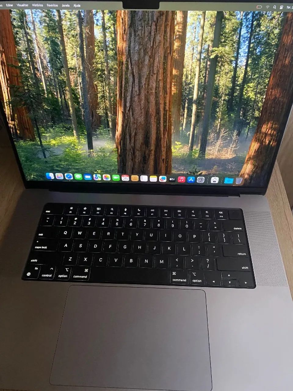 MacBook Pro M1 Pro Apple Care 16g ram