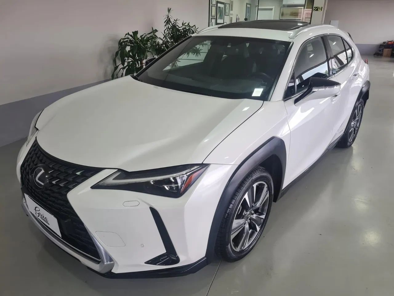 Lexus UX-250H Luxury 2.0 16V Aut.(hybrid) 2019