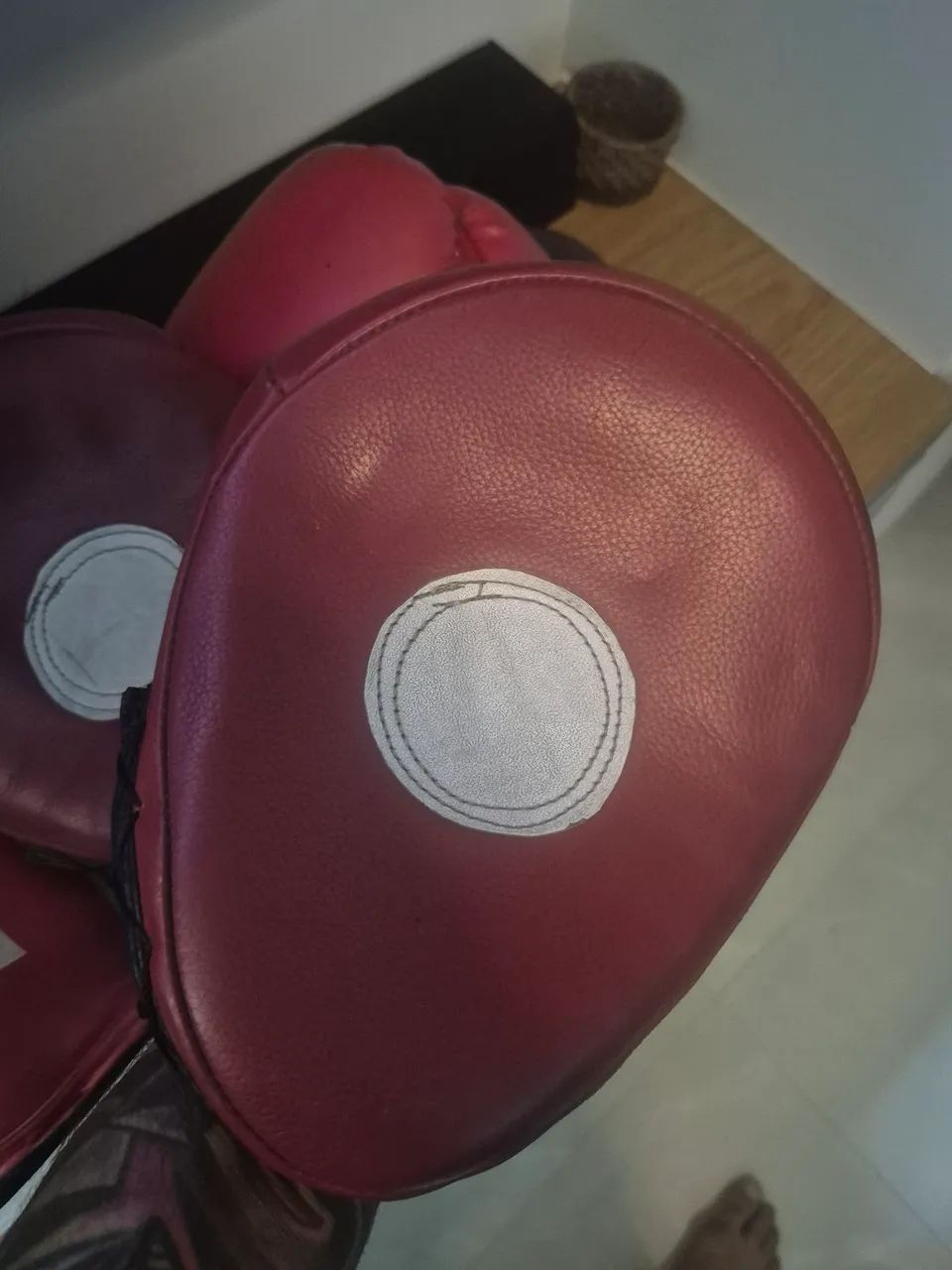 Luvas boxe + aparador de soco64314890758915122