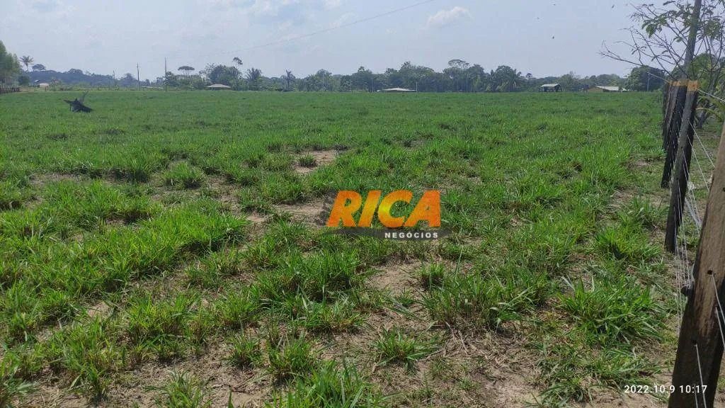 Excelente fazenda à venda, com 100 hectares na Área Rural de Porto Velho/RO - Foto 5