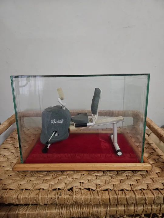 Miniatura de Bicicleta de Academia!!! - Foto 2