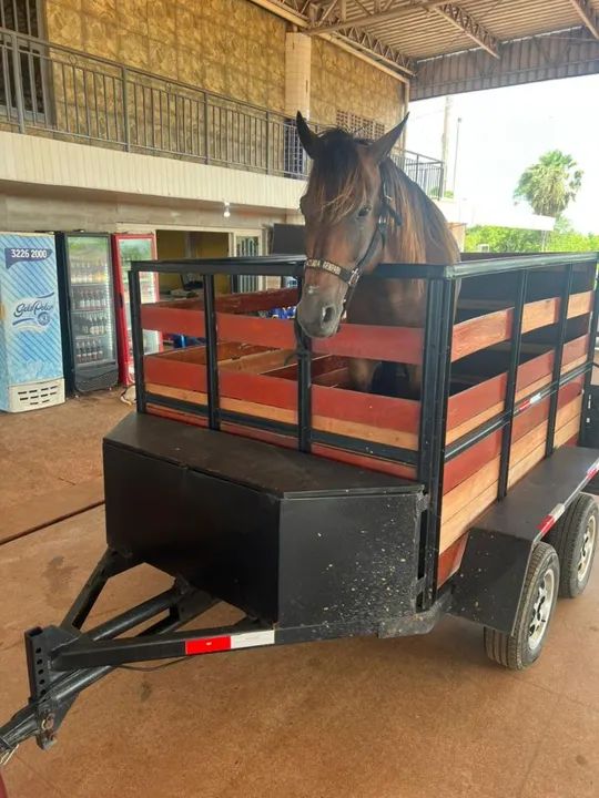 Beto Frete/ transporte de Cavalos 