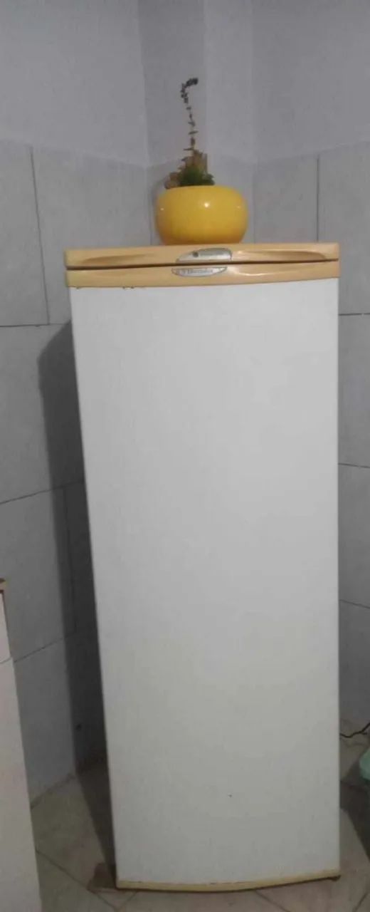 Geladeira Vertical Usada em ótimo estado