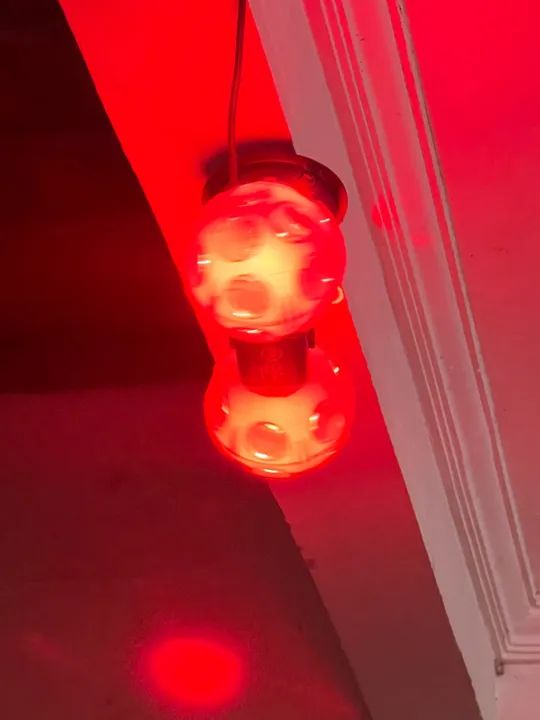 Globo giratório com luz led - Foto 5