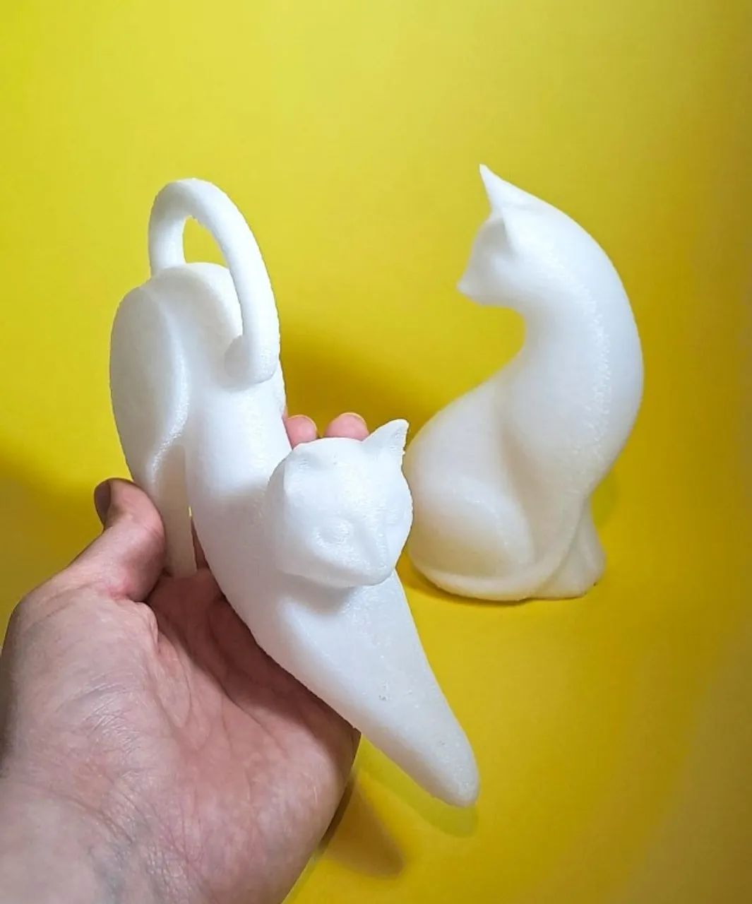 Gatinhos Zen - Calmaria Felina - Foto 5