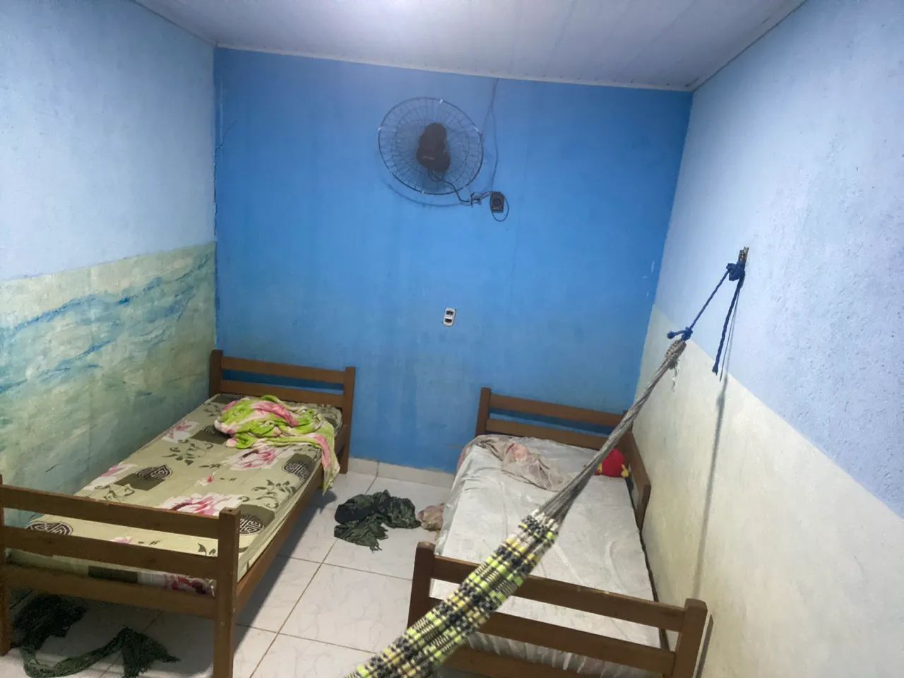 Foto - Porto Velho - Castanheira