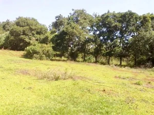 TERRENO DE 48.400m² na Rua Guido Spoladore, Gleba Lindóia, Londrina/PR - Foto 5