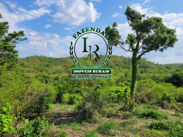 Fazenda Dupla Aptidão Tocantins - Foto 2