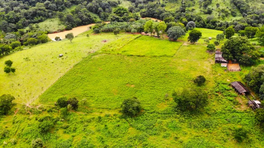 Fazenda toda formada com 102ha na Fercal