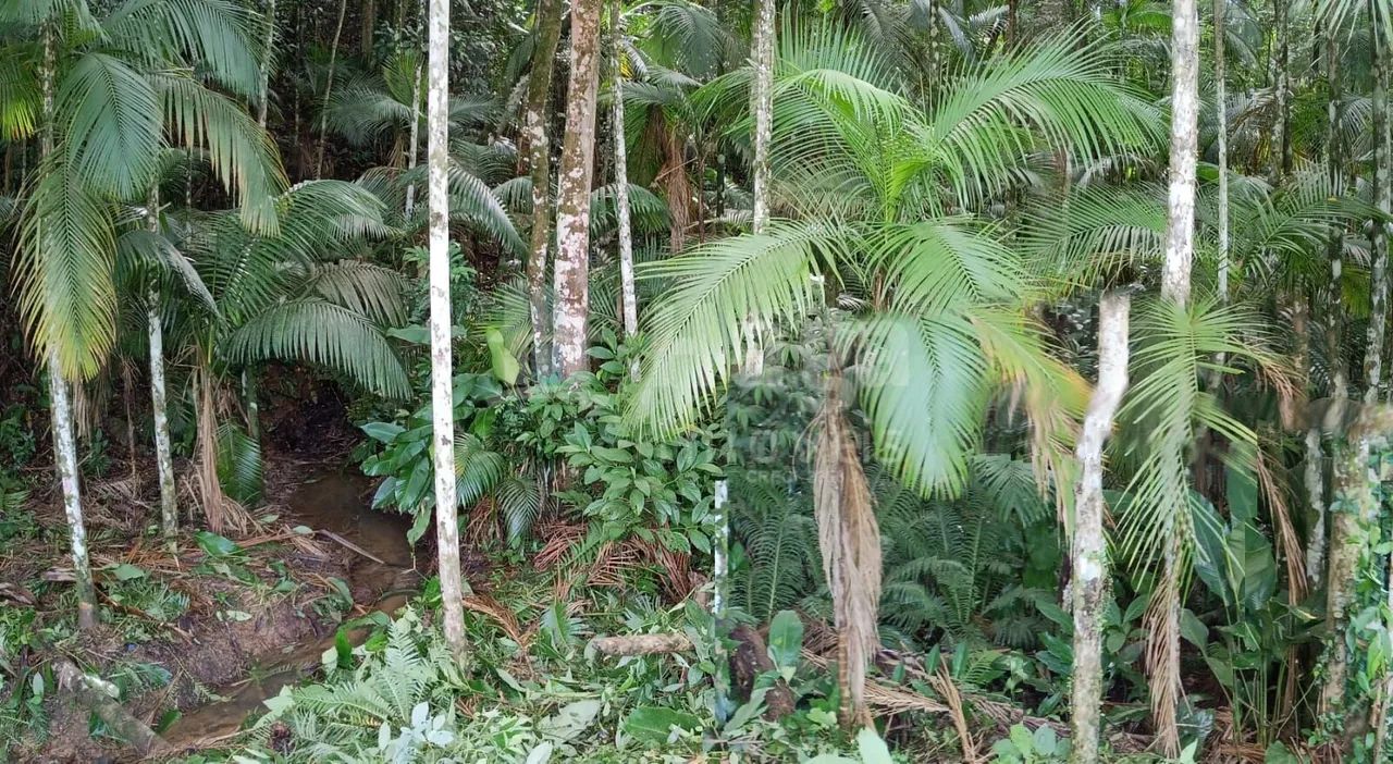 Terreno à venda em São João Batista/SC - Foto 3