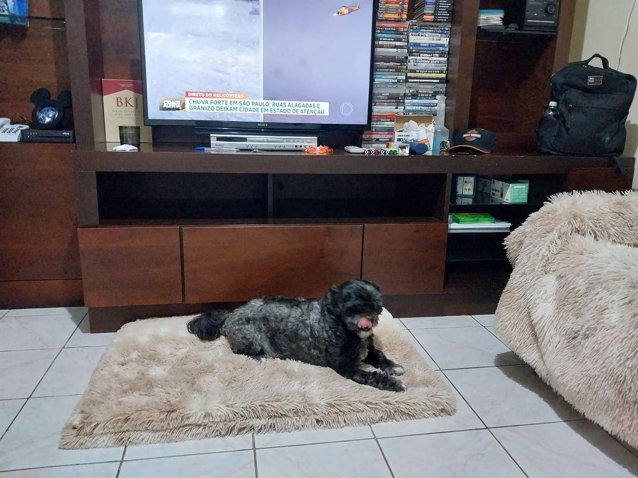 Rack para TV,  bastante espaço  e compartimento   - Foto 2