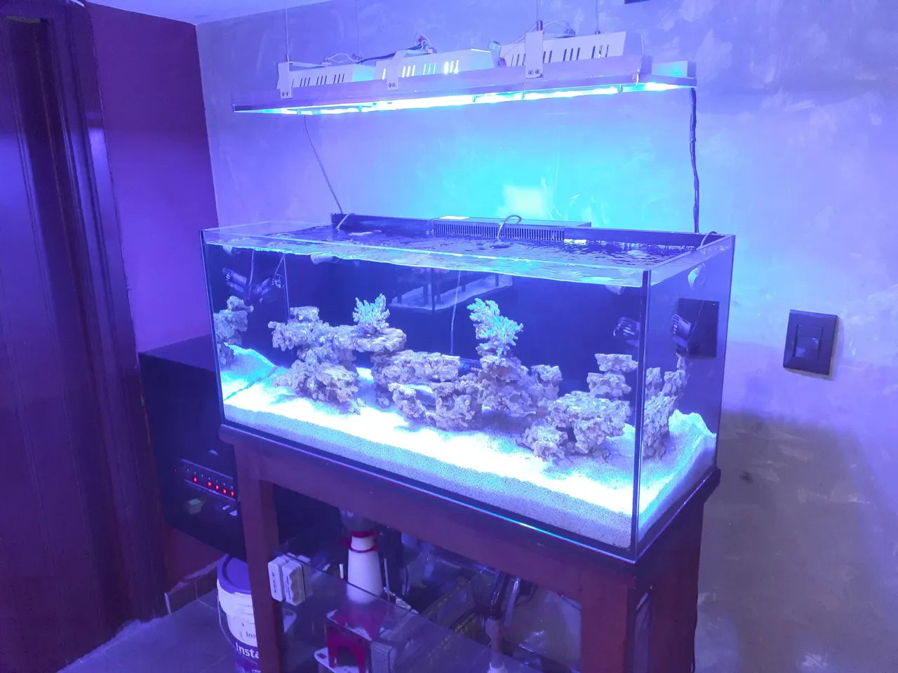 Aquário Marinho Completo