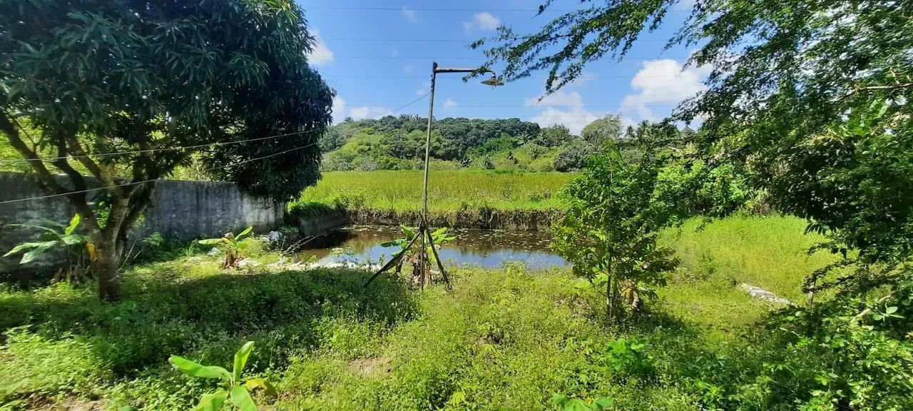 VENDO GRANJA NO CONDE - Foto 2