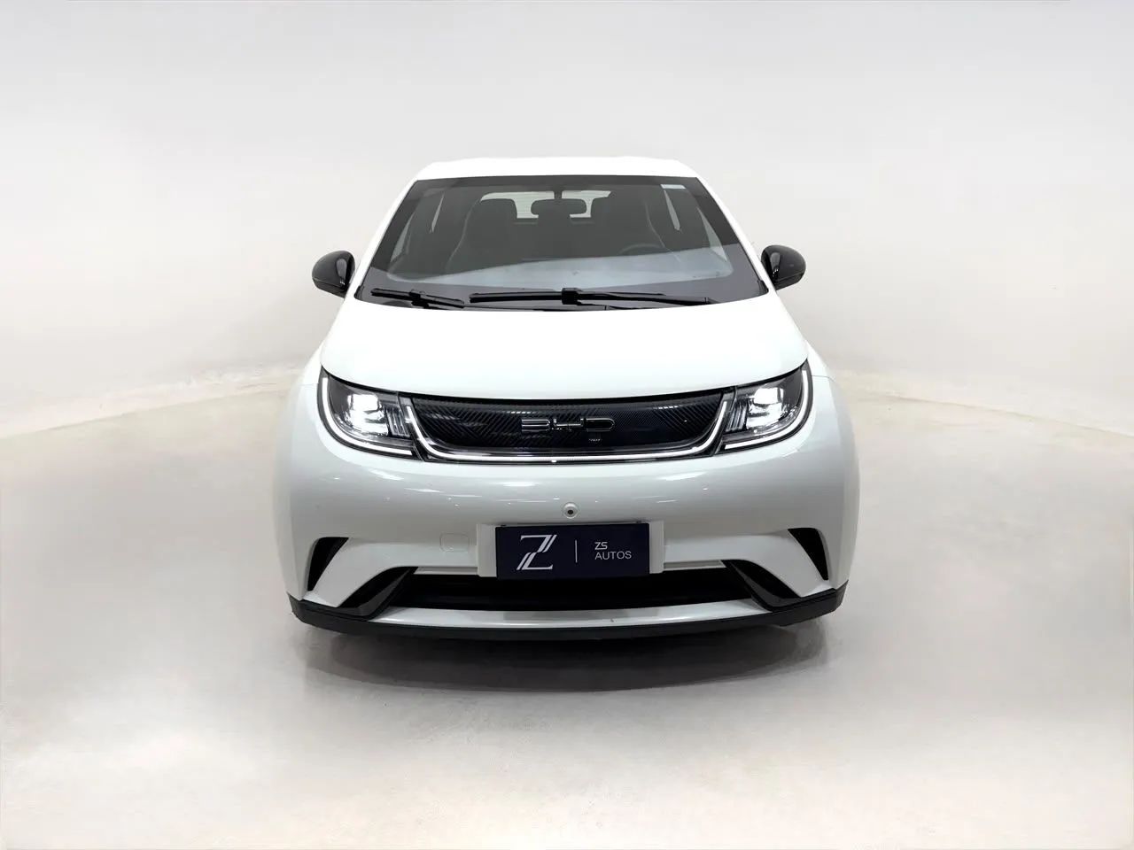 BYD Dolphin GS (Elétrico) 2025 - Foto 2