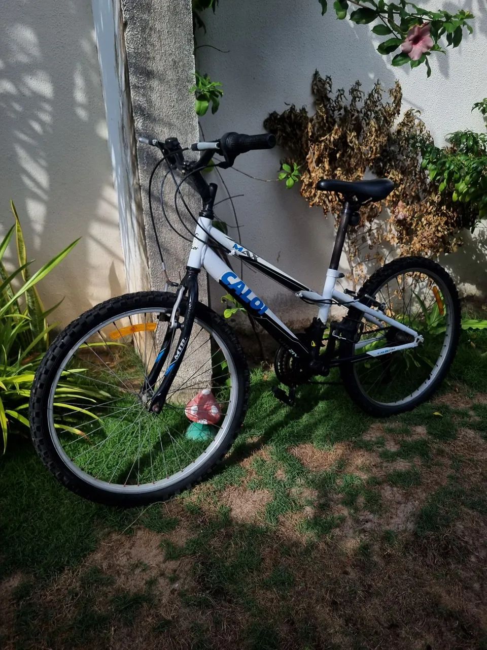 Bicicleta aro 24 7 marchas