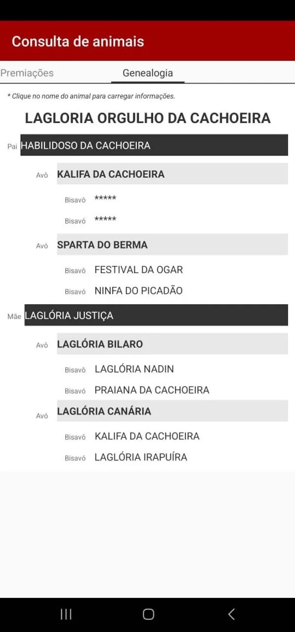 Cavalo Garanhão MM - Foto 4