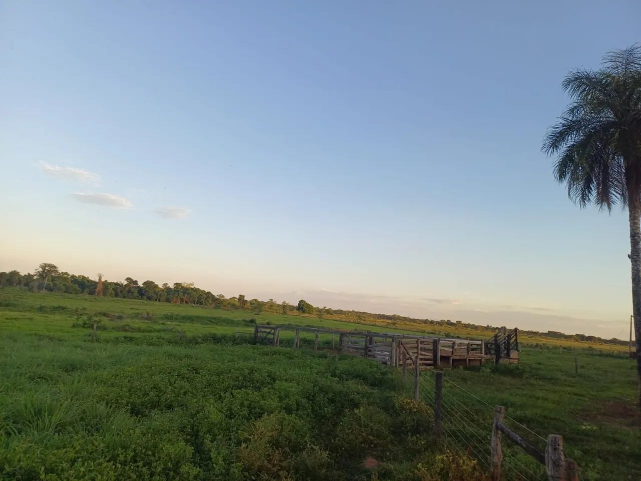 Fazenda em flores de Goiás  - Foto 5