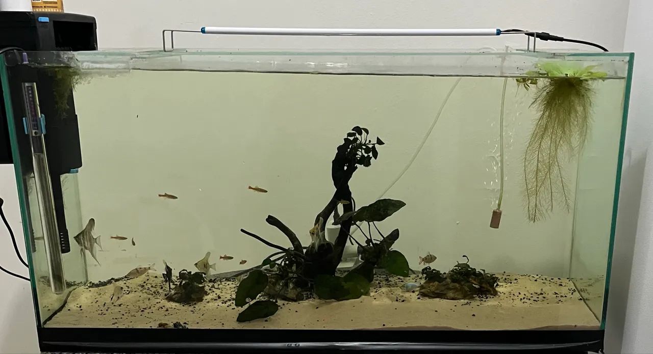 Aquario 125lts - Foto 2