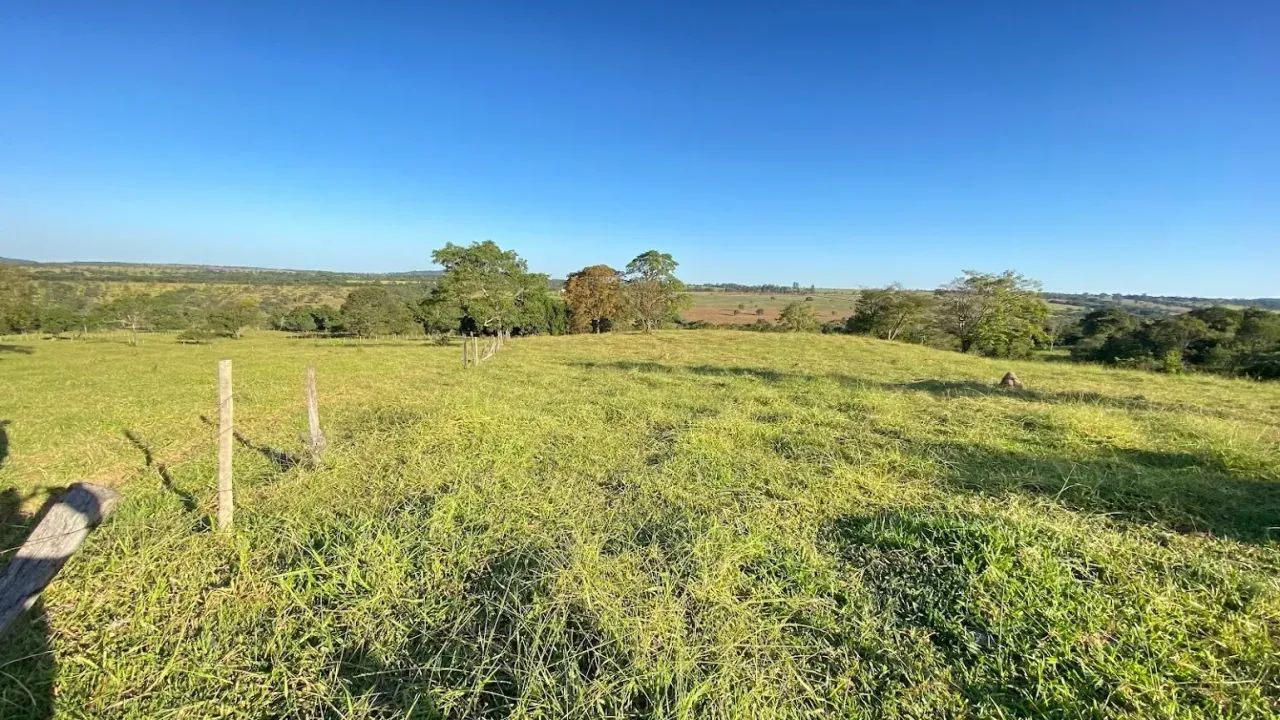 Fazenda em Aragoiânia, 15,8 hectares, 1km do asfalto, 10 km do centro de Aragoiânia, excel - Foto 2